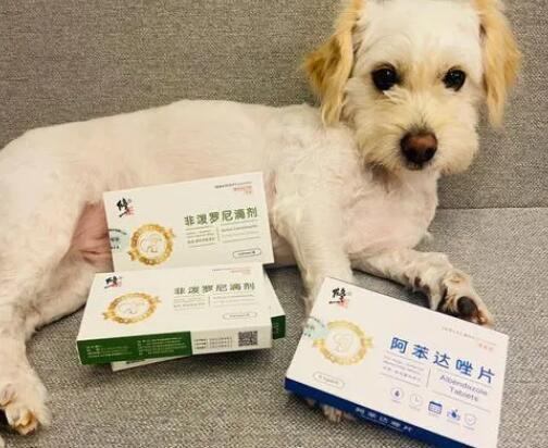 狗用什么驱虫药好-图1