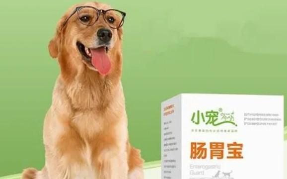 幼犬肠胃宝一天喂几次-图1