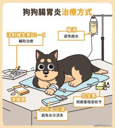 小狗上吐下泻是什么原因