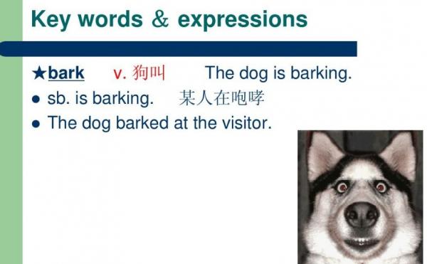 狗叫用英语怎么说?-图1