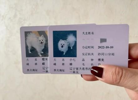 狗狗托运必须要狗证吗