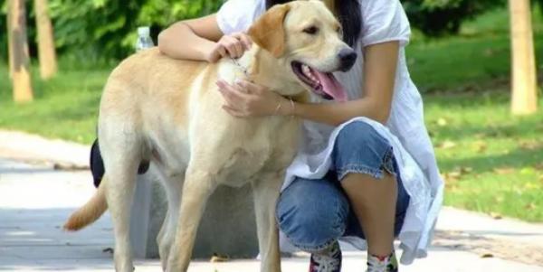 单身女生适合养什么狗狗