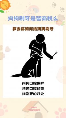 狗狗需要刷牙吗？-图1