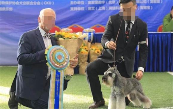 牵犬师资格证怎么考-图1
