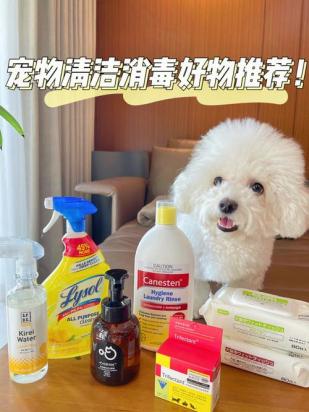 狗狗到新家怎么消毒卫生比较好