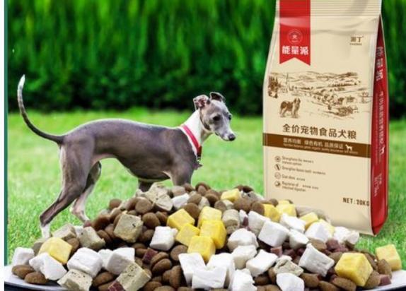 细狗如何挑选好狗粮-图1