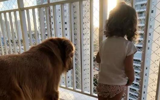 狗狗为什么和小孩子很亲近