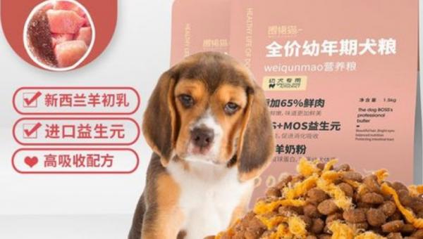 全价狗粮适合幼犬吗-图1