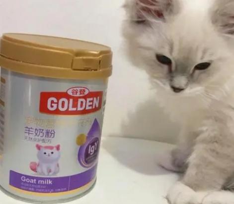 猫咪羊奶粉一勺兑多少水-图1