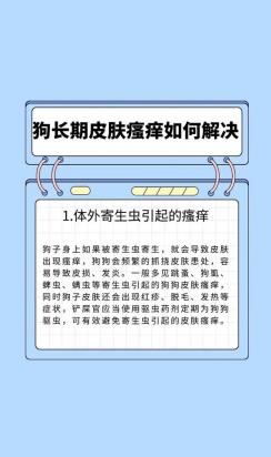 狗狗上火的症状及医治解决方法