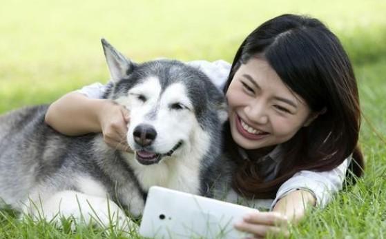 宠物狗特别喜欢漂亮女生的原因