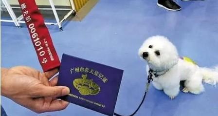 为什么要给狗办狗证-图1