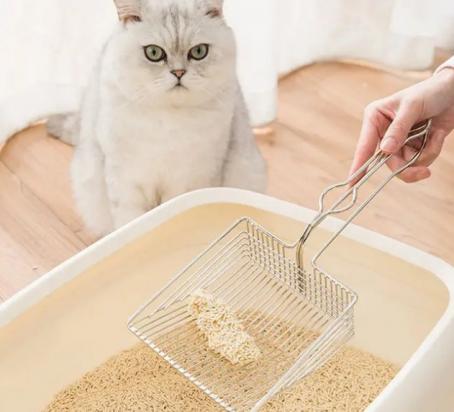 猫屎粘不住猫砂是太干了吗-图1