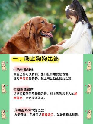 如何避免狗狗送人时出现的忌讳-图1