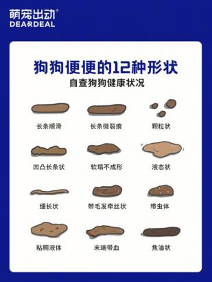狗狗每天大便几次正常-图1