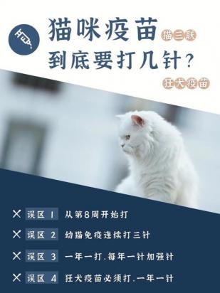 猫三联每年都要打吗-图1
