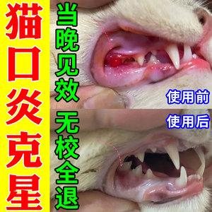 猫咪嘴角溃烂用什么药-图1