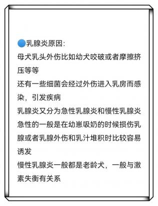 狗狗乳腺炎的症状及处理方法-图1