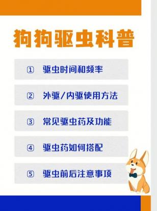 狗狗驱虫的最佳时间