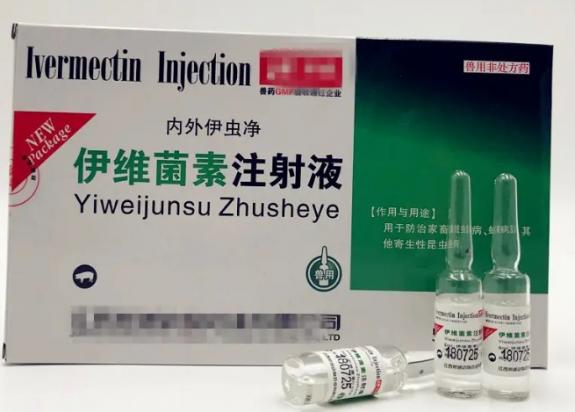 柯基犬能不能用伊维菌素-图1