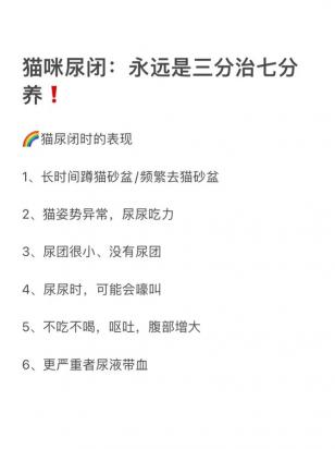 猫尿闭能彻底治愈吗-图1