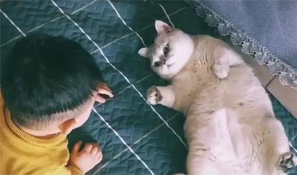 猫咪照顾小主人-图1