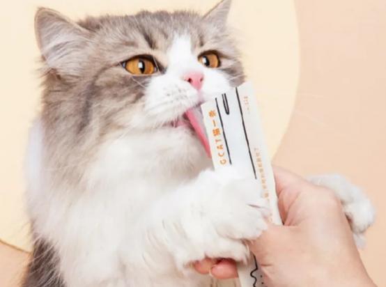 猫条是什么东西