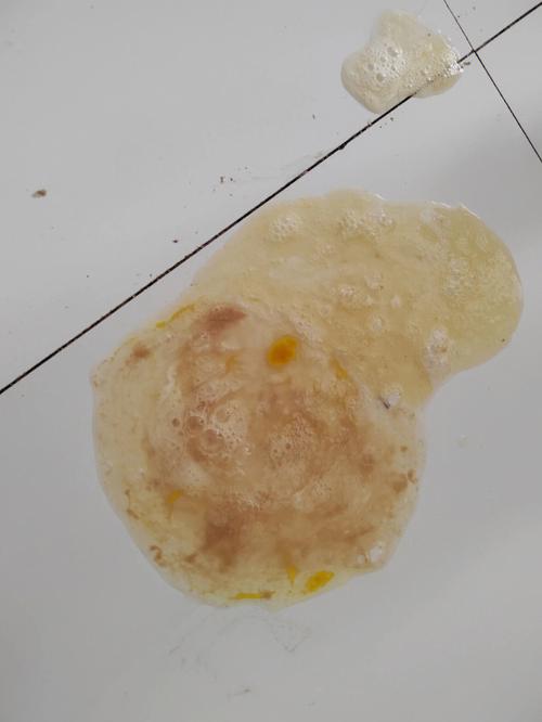 狗狗吐黄色的液体不吃东西是怎么回事