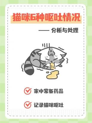 猫咪又拉又吐是什么原因