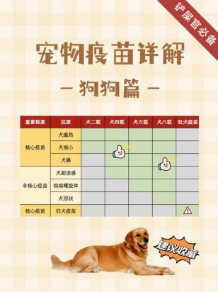 狗狗驱虫后多久打疫苗-图1