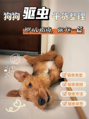 狗狗驱虫后多久可以洗澡
