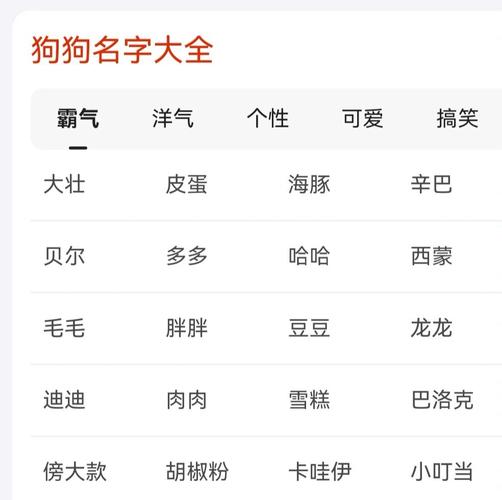 狗狗名字大全洋气点的