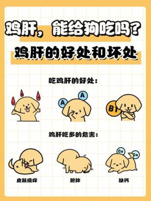 狗狗能吃鸡肝吗