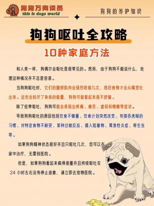 狗狗快速催吐的四种方法-图1