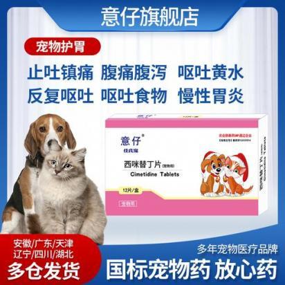 狗狗呕吐黄水泡沫粘液怎么办？试试这些药物治疗