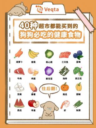 狗狗能吃100种食物-图1