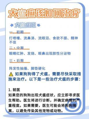 狗狗犬瘟治疗方法(自己在家治疗)-图1