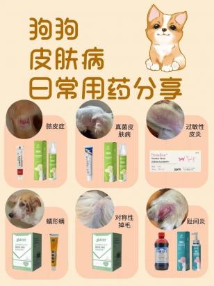 狗皮癣怎么治疗用什么药