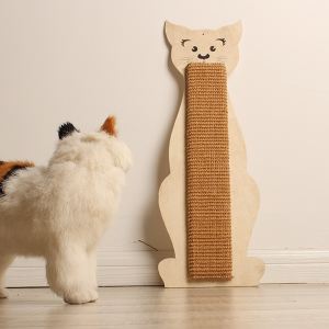 如何防止猫咪抓墙-图1