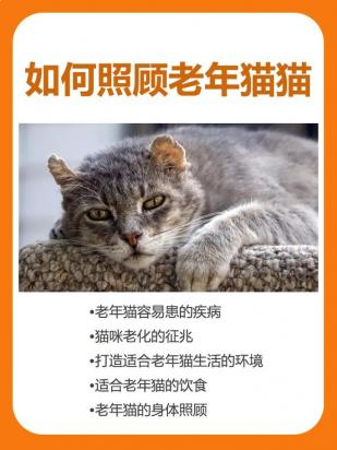 猫怕老人是怎么回事-图1