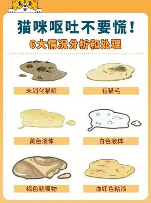 猫呕吐是什么原因引起-图1