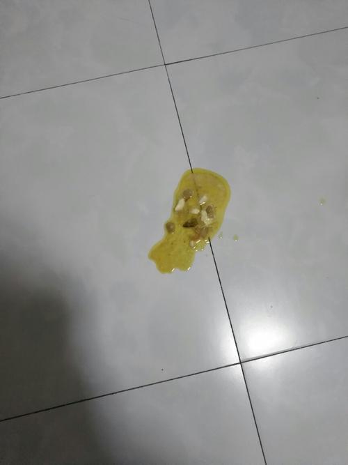 狗狗吐了黄黄的浓稠物-图1