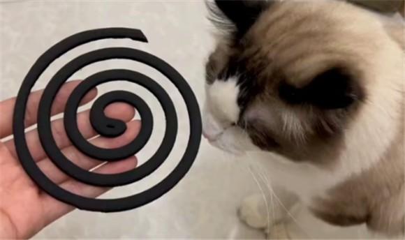 猫能闻蚊香吗-图1