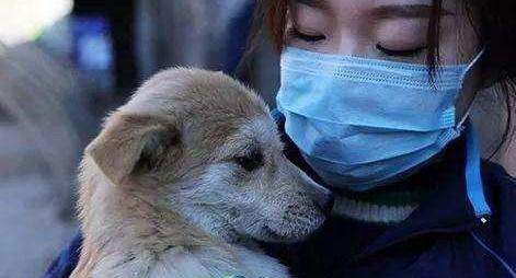 狗得新冠会死吗-图1