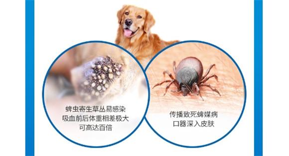 狗狗体内驱虫超可信