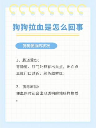 狗狗拉稀便血是怎么回事
