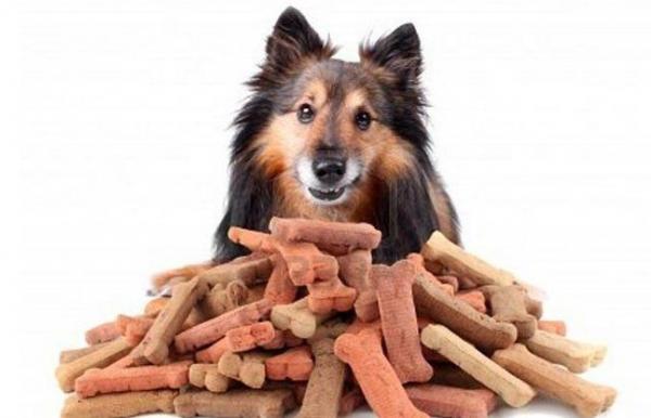 狗狗两个月吃什么零食最好