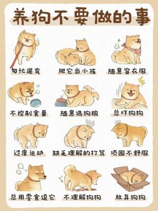 狗狗来月经要注意哪些事项-图1