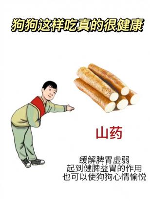 狗狗可以吃山药吗-图1