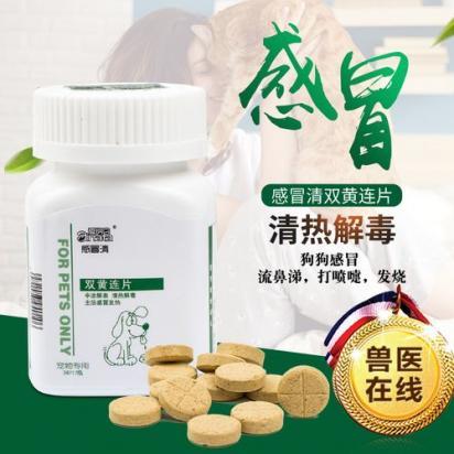 狗狗流清水鼻涕吃什么药好-图1